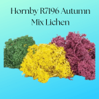 Hornby R7196 Autumn Mix Lichen