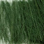 Tasma Field Grass Dark Green