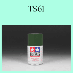 TS61