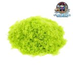 Gaugemaster Fine Foliage Light Green