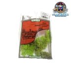 Javis JLGLS Light Green Lichen