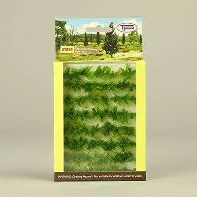 Tasma 01016 Light Green Pathway