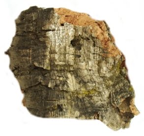 Javis Scenics JMCB Medium Cork Bark