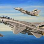 Hobbyboss 80278 1/72 F-14D Super Tomcat