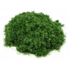 Gaugemaster GM151Dark Green Foliage