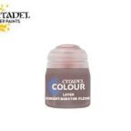 Games Workshop 22-93 Layer Knight Questor Flesh