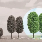 Busch 6054 HO 130mm Park Trees Busch