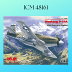 ICM 48161