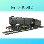 Hornby R3011 Q1
