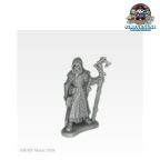 Reaper Miniatures Vodelis Winterhand Human Wizard