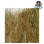 Tasma Field Grass Natural Brown